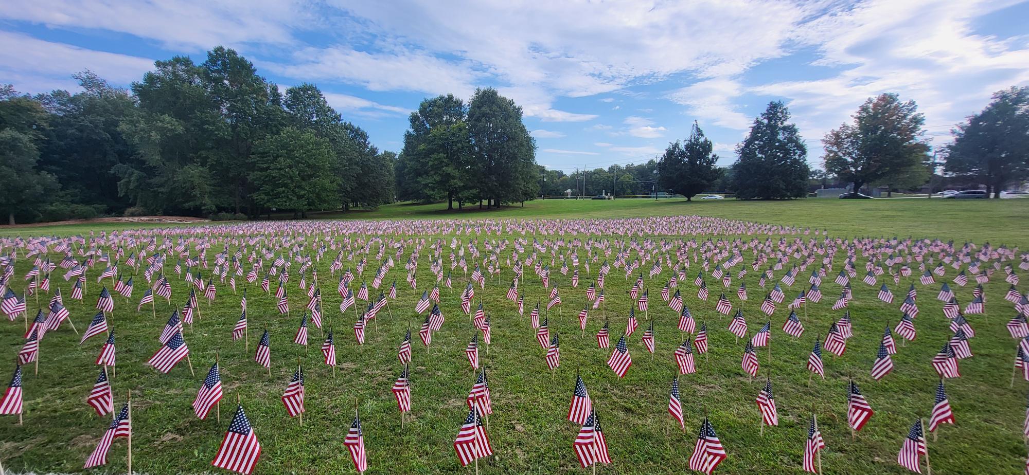 flags